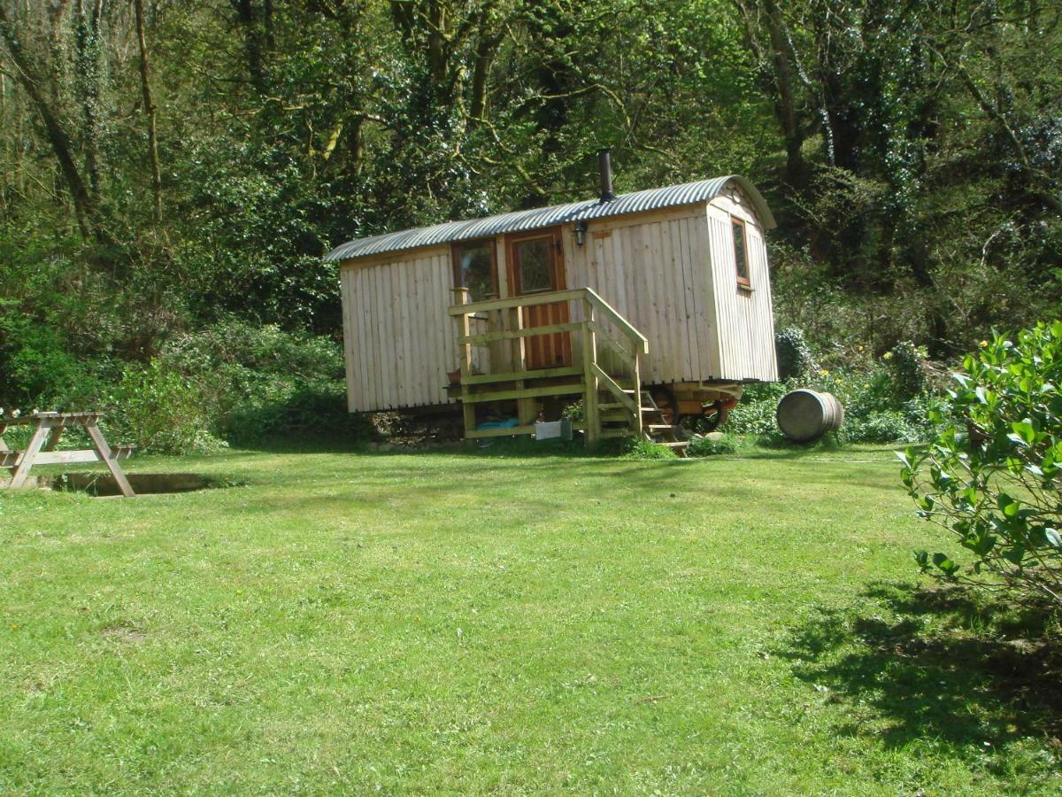 'Morris' The Shepherd'S Hut With Woodland Hot Tub Carmarthen Exterior photo