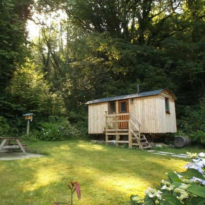 'Morris' The Shepherd'S Hut With Woodland Hot Tub Carmarthen Exterior photo